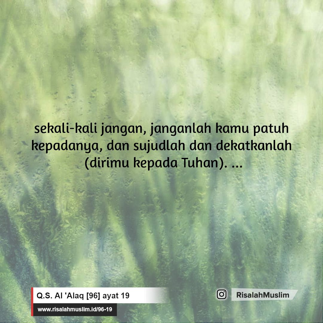 Detail Surat Al Alaq Ayat 19 Nomer 26