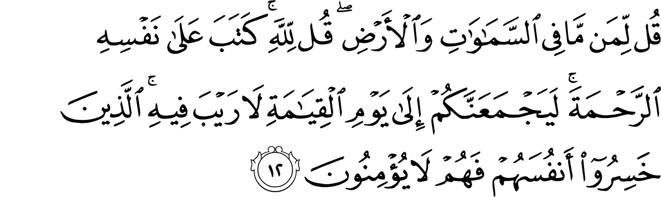 Detail Surat Al An Am Ayat 2 Nomer 28