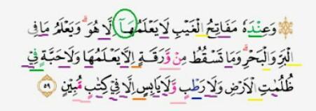 Detail Surat Al An Am Ayat 59 Nomer 24