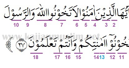 Detail Surat Al Anfal Ayat 2 4 Latin Nomer 46