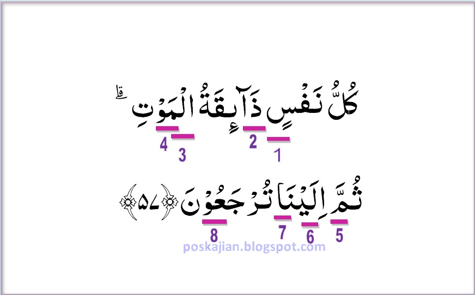 Detail Surat Al Ankabut Ayat 57 Nomer 28