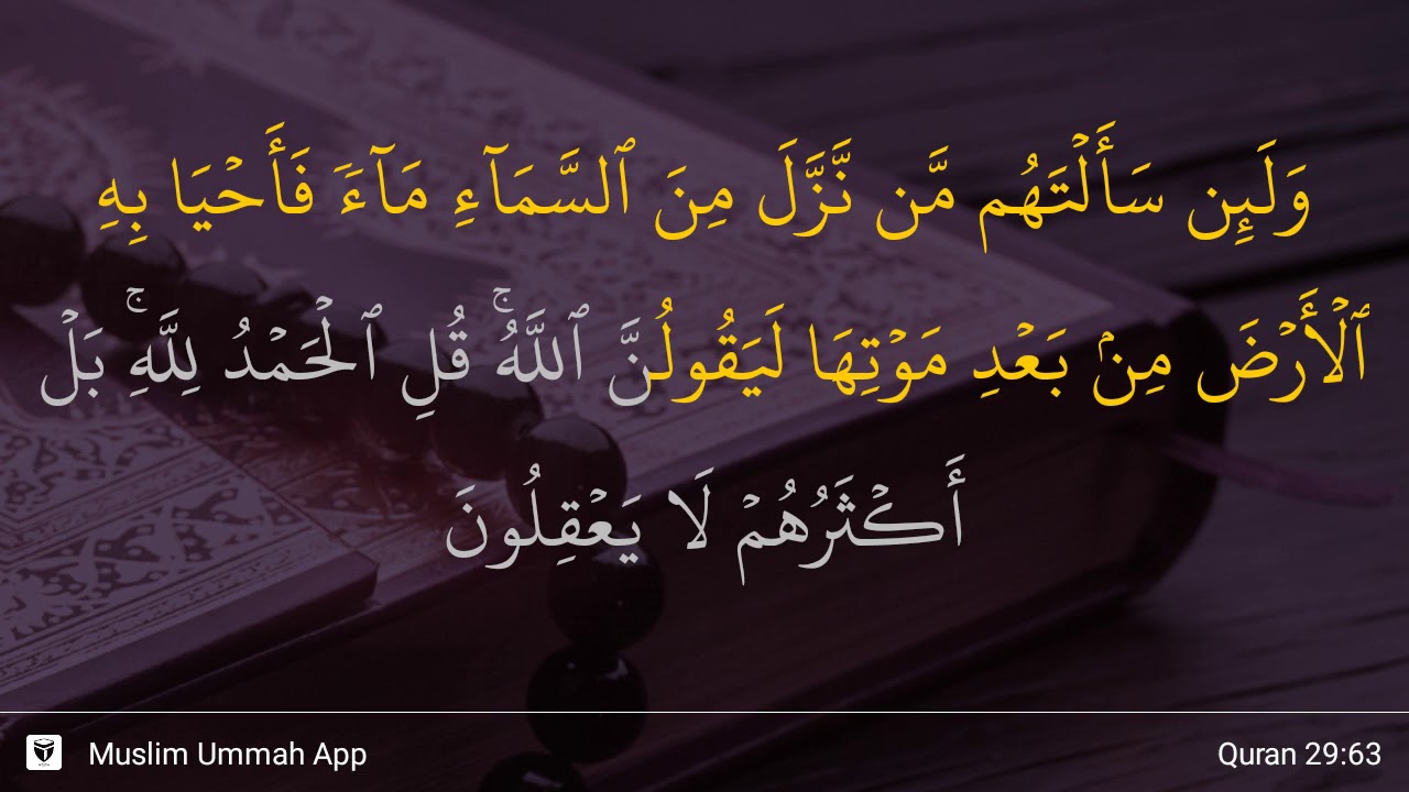 Detail Surat Al Ankabut Ayat 64 Nomer 19