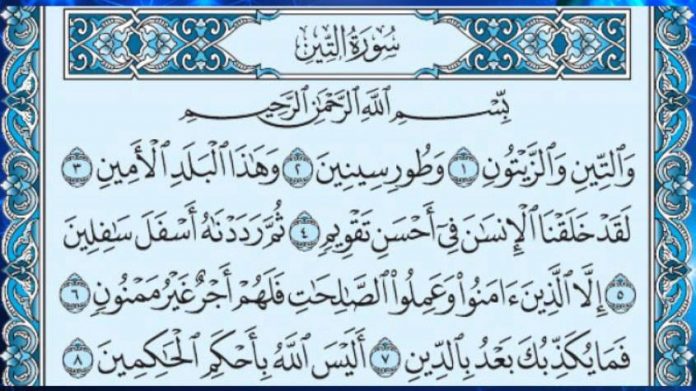 Detail Surat Al At Tin Nomer 3