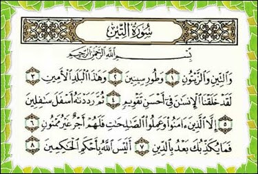 Detail Surat Al At Tin Nomer 8