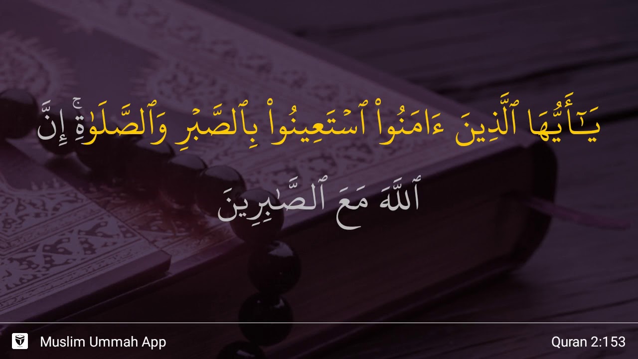 Detail Surat Al Baqarah 153 Nomer 13