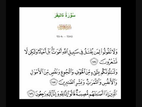 Detail Surat Al Baqarah 156 Nomer 21