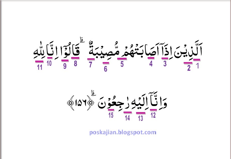 Detail Surat Al Baqarah 156 Nomer 47