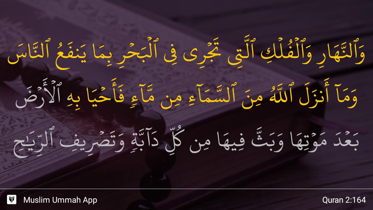 Detail Surat Al Baqarah 164 Nomer 22