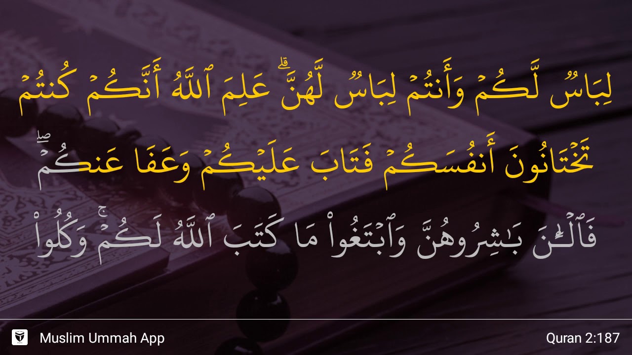 Detail Surat Al Baqarah 187 Nomer 6