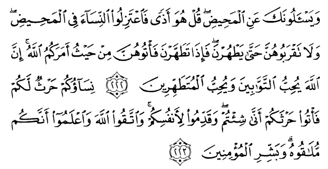 Detail Surat Al Baqarah 222 Nomer 24