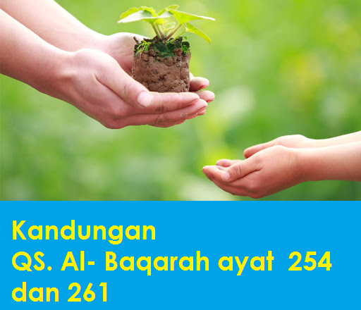 Detail Surat Al Baqarah 261 Nomer 41