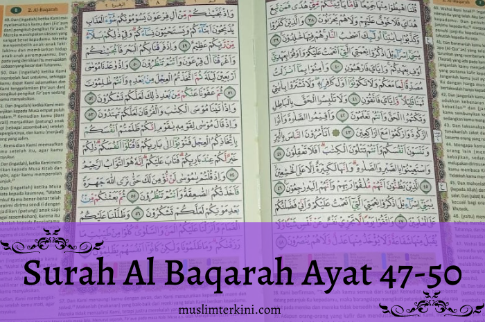 Detail Surat Al Baqarah Ayat 1 5 Latin Nomer 49