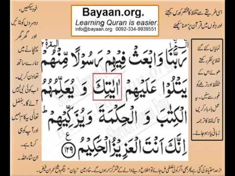 Detail Surat Al Baqarah Ayat 129 Nomer 10