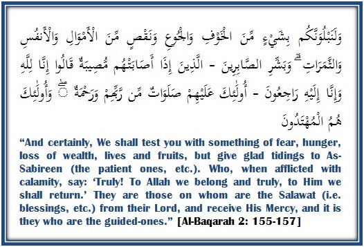 Detail Surat Al Baqarah Ayat 156 Nomer 12