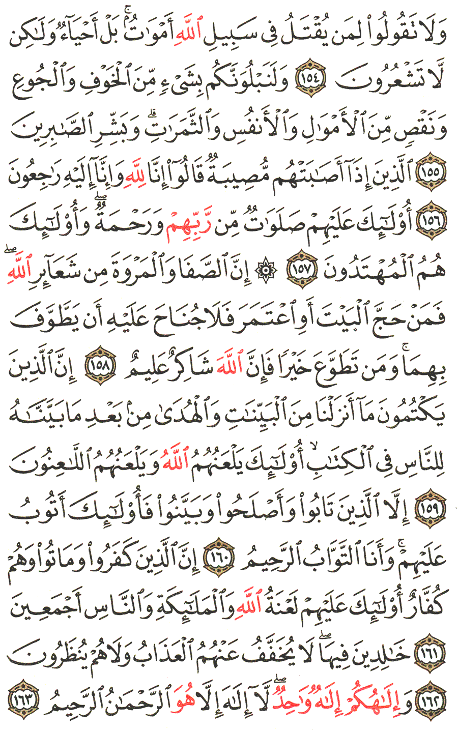Detail Surat Al Baqarah Ayat 156 Nomer 23