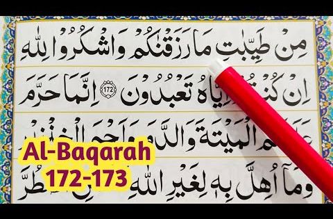 Detail Surat Al Baqarah Ayat 172 173 Nomer 13