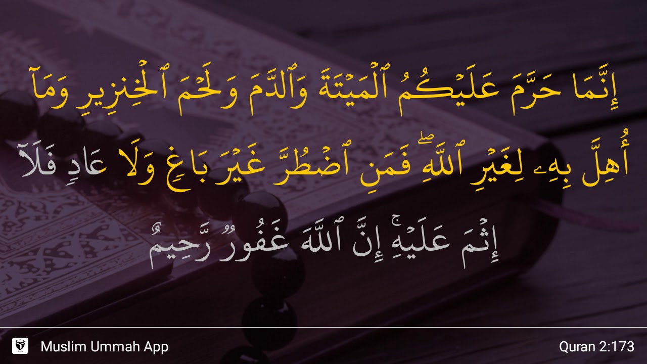 Detail Surat Al Baqarah Ayat 172 173 Nomer 16