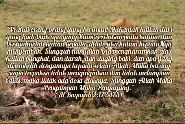 Detail Surat Al Baqarah Ayat 172 173 Nomer 23