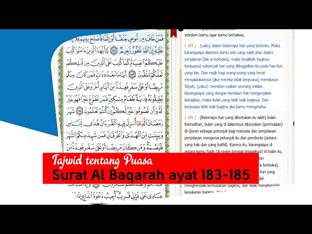 Detail Surat Al Baqarah Ayat 183 184 Nomer 41