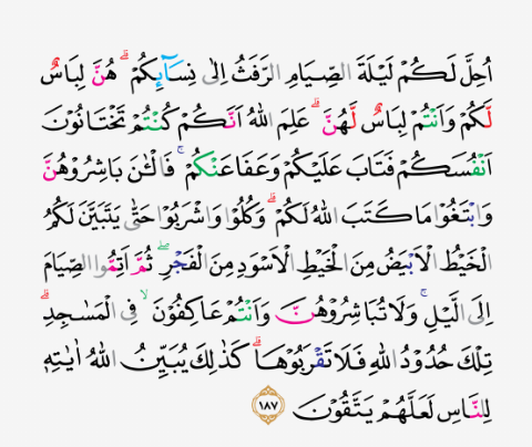 Detail Surat Al Baqarah Ayat 187 Nomer 7