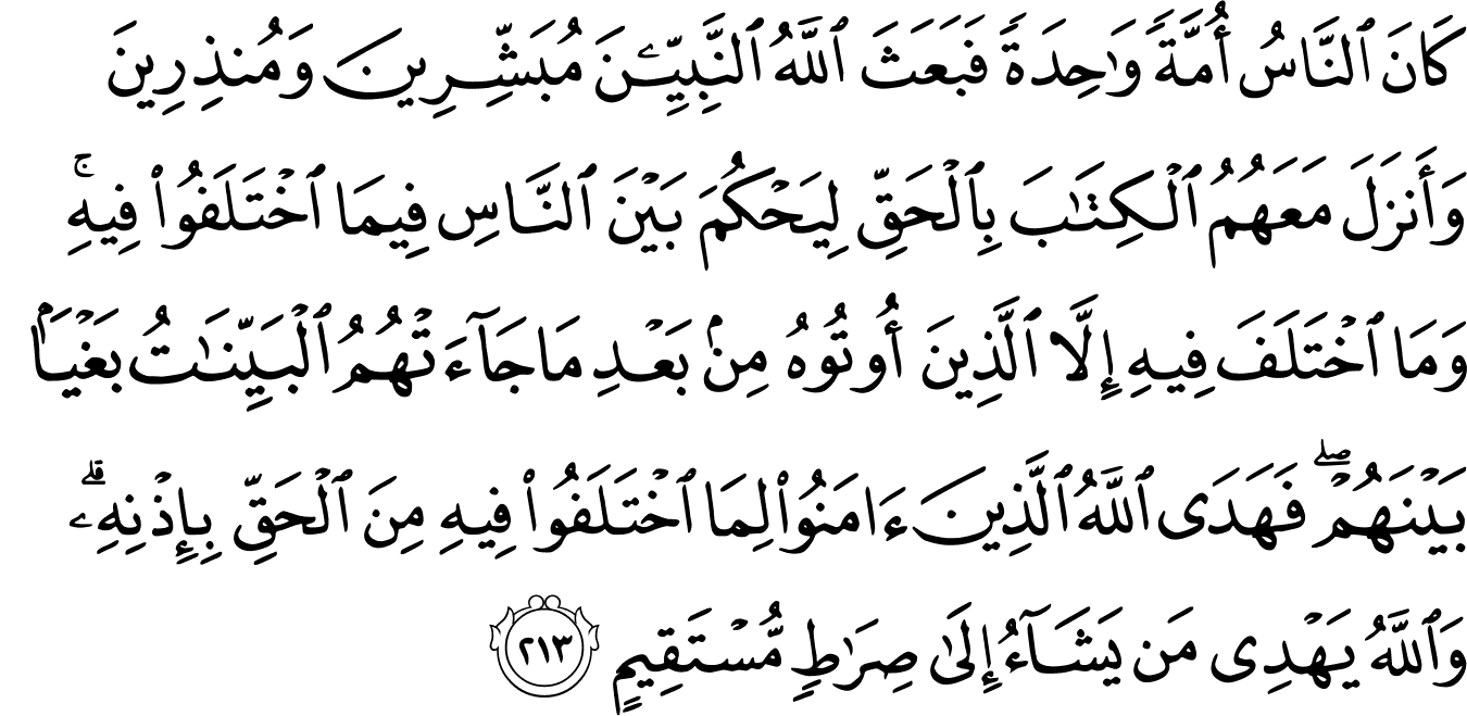 Detail Surat Al Baqarah Ayat 208 Nomer 19