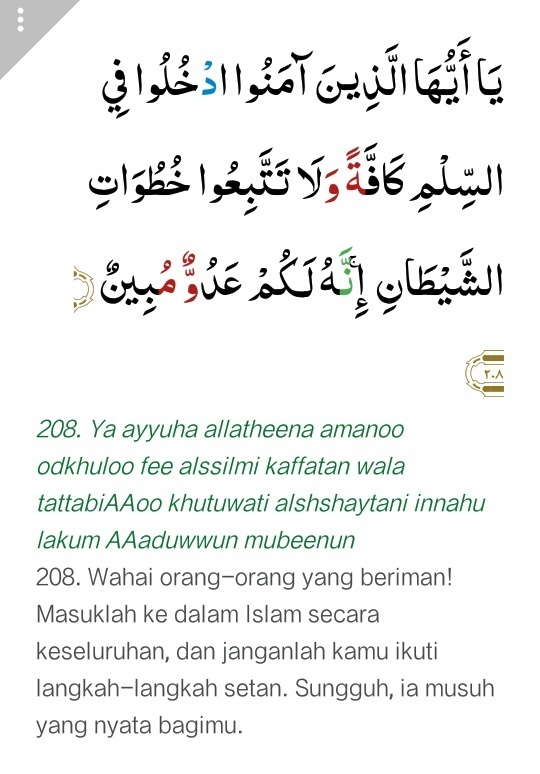 Detail Surat Al Baqarah Ayat 208 Nomer 7