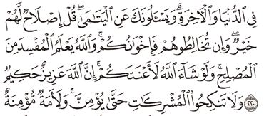 Detail Surat Al Baqarah Ayat 217 Nomer 19