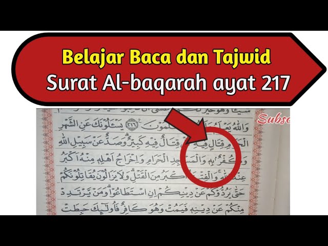 Detail Surat Al Baqarah Ayat 217 Nomer 21