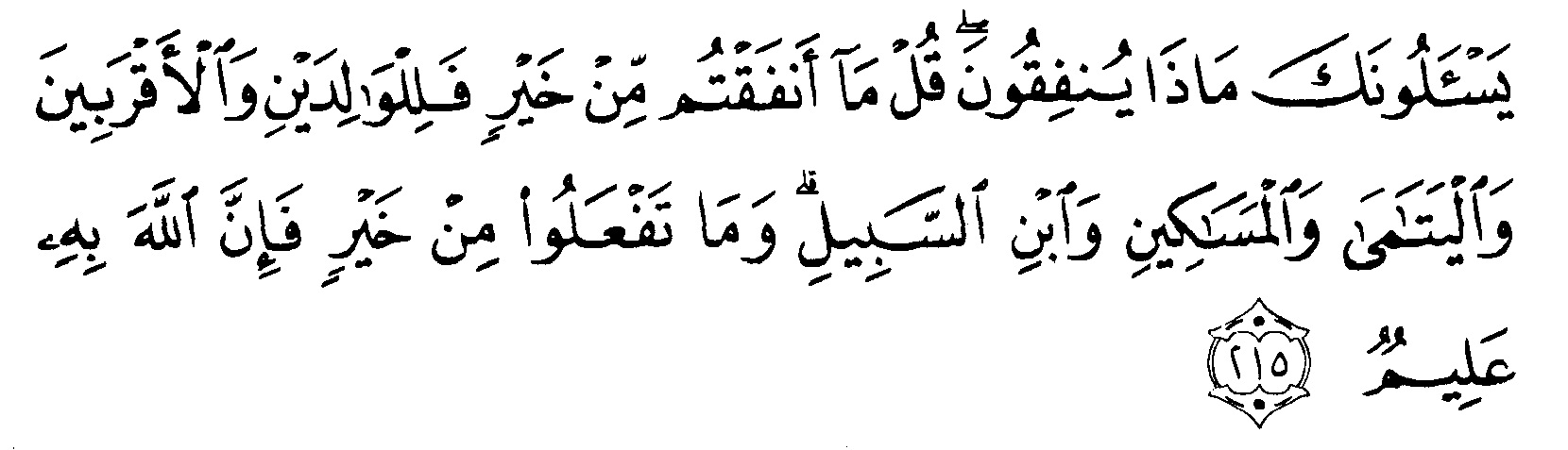 Detail Surat Al Baqarah Ayat 217 Nomer 46