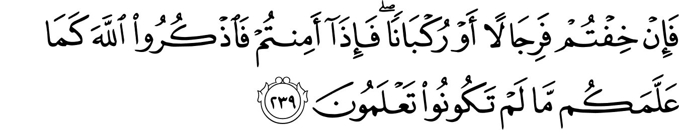 Detail Surat Al Baqarah Ayat 245 Nomer 16