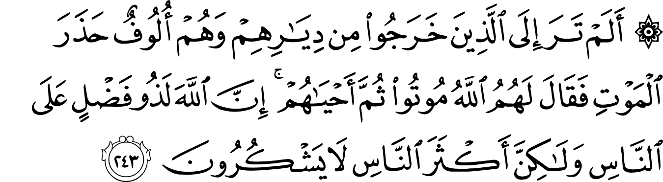 Detail Surat Al Baqarah Ayat 245 Nomer 20