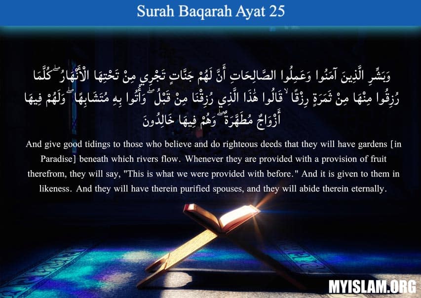 Detail Surat Al Baqarah Ayat 25 Nomer 2