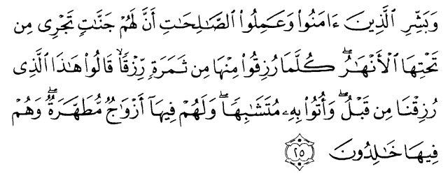 Detail Surat Al Baqarah Ayat 25 Nomer 15