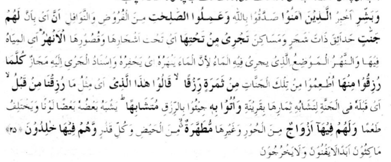 Detail Surat Al Baqarah Ayat 25 Nomer 20