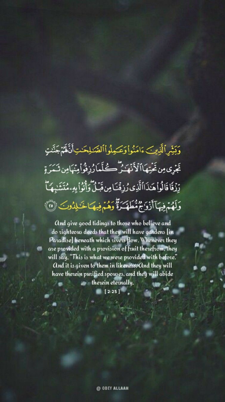 Detail Surat Al Baqarah Ayat 25 Nomer 21