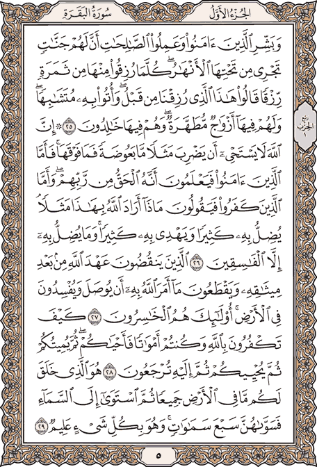 Detail Surat Al Baqarah Ayat 25 Nomer 9