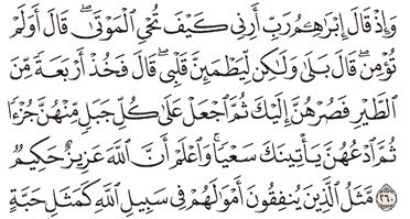 Detail Surat Al Baqarah Ayat 256 Nomer 17