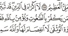 Detail Surat Al Baqarah Ayat 256 Nomer 25