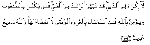 Detail Surat Al Baqarah Ayat 256 Nomer 10