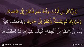 Detail Surat Al Baqarah Ayat 259 Nomer 16