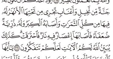 Detail Surat Al Baqarah Ayat 267 Nomer 37