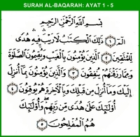 Detail Surat Al Baqarah Ayat 5 Nomer 24