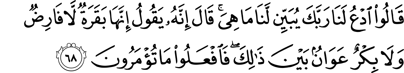 Detail Surat Al Baqarah Ayat 67 Nomer 14