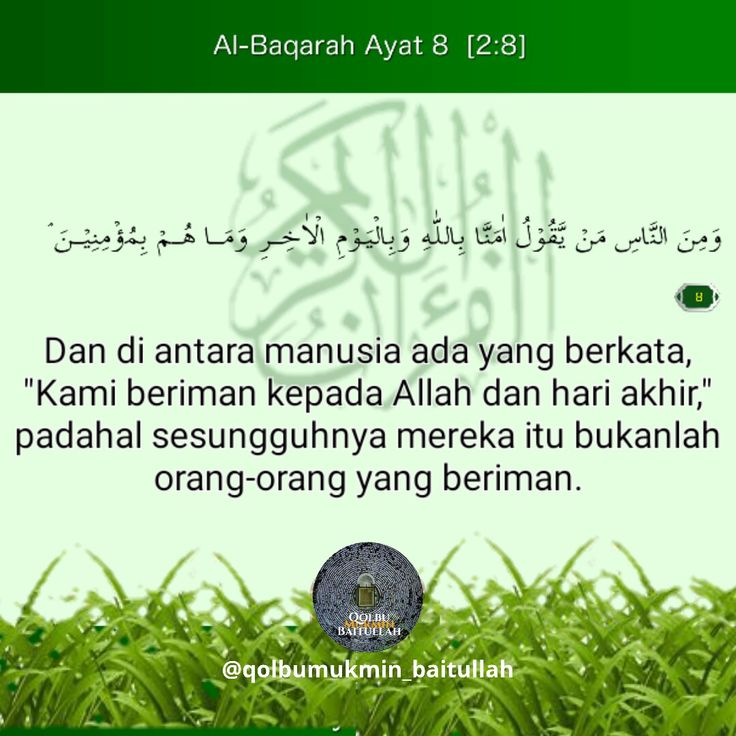 Detail Surat Al Baqarah Ayat 8 Nomer 13