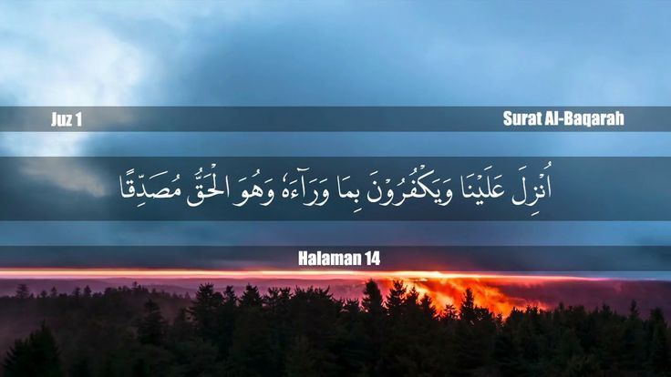 Detail Surat Al Baqarah Ayat 89 Nomer 20