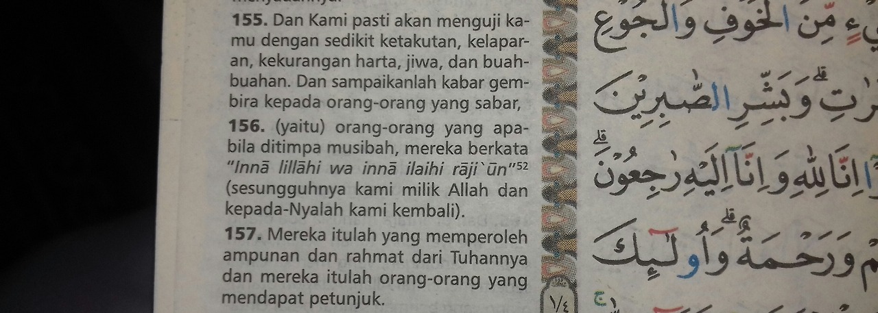 Detail Surat Al Baqarah Tentang Sabar Nomer 40