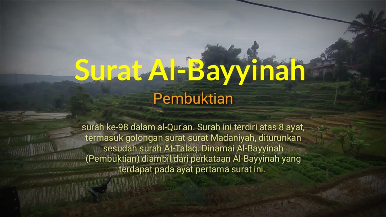 Detail Surat Al Bayyinah Diturunkan Sesudah Surat Nomer 13