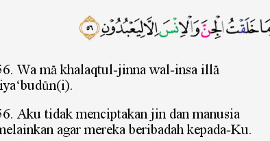 Detail Surat Al Dzariyat Ayat 56 Nomer 8