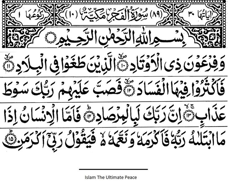 Detail Surat Al Fajr Ayat 1 10 Nomer 19