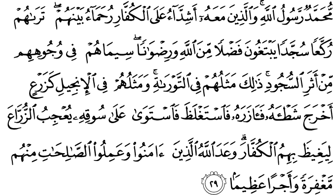 Detail Surat Al Fath Ayat 28 29 Nomer 3